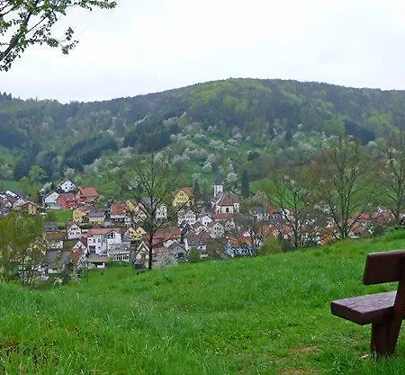 Hotel Dernbachtal 3*