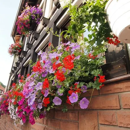 Dernbachtal Hotel 3*