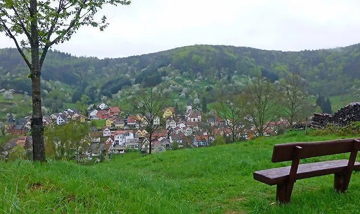 호텔 Dernbachtal 3*